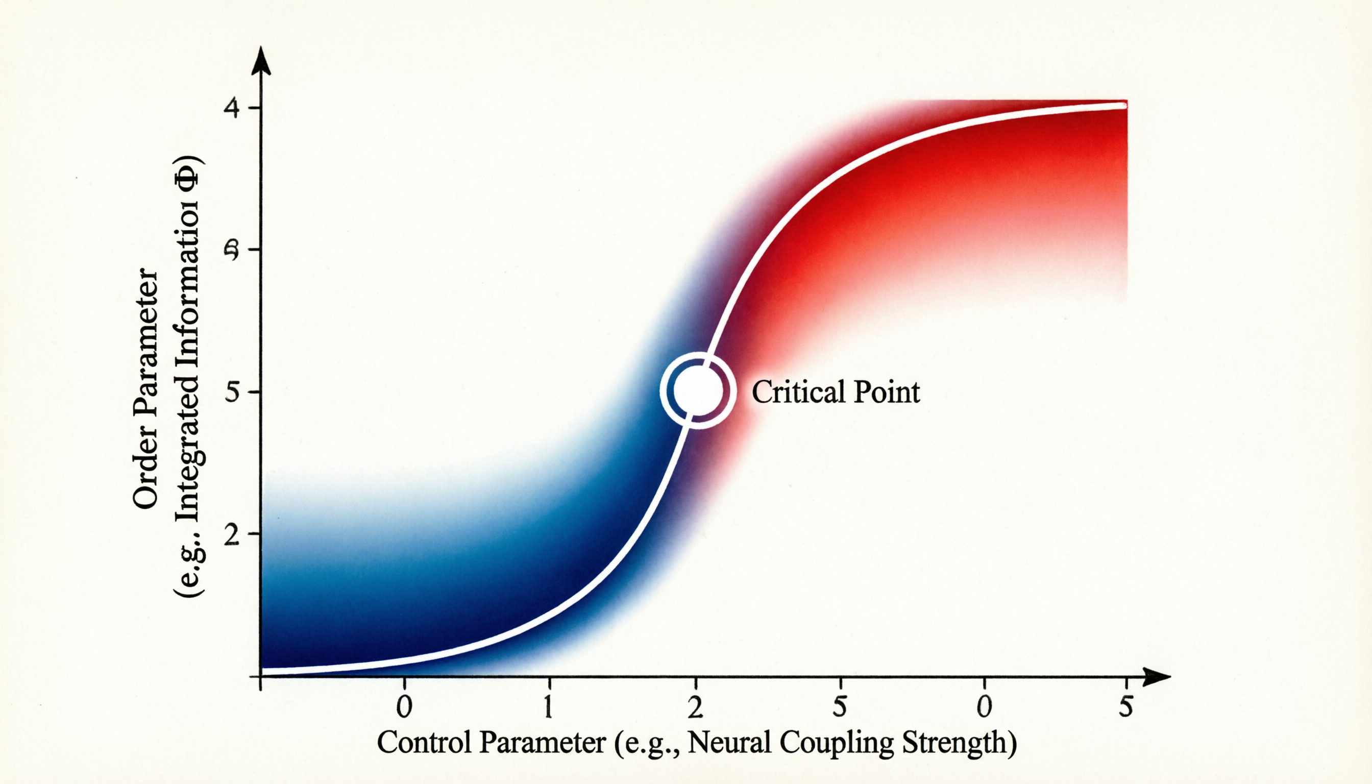 意识相变临界慢化可视化
